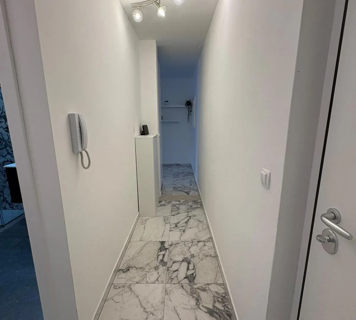 Luxury Apartment Lemi Split